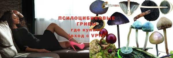 эйфоретик Алексин