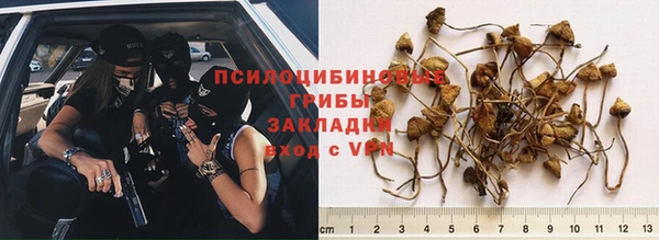 mix Новозыбков